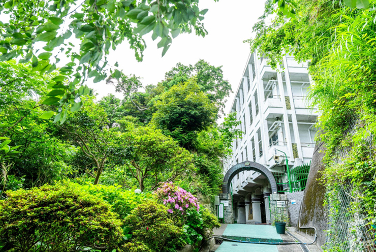 本校の看護医療プログラムについて