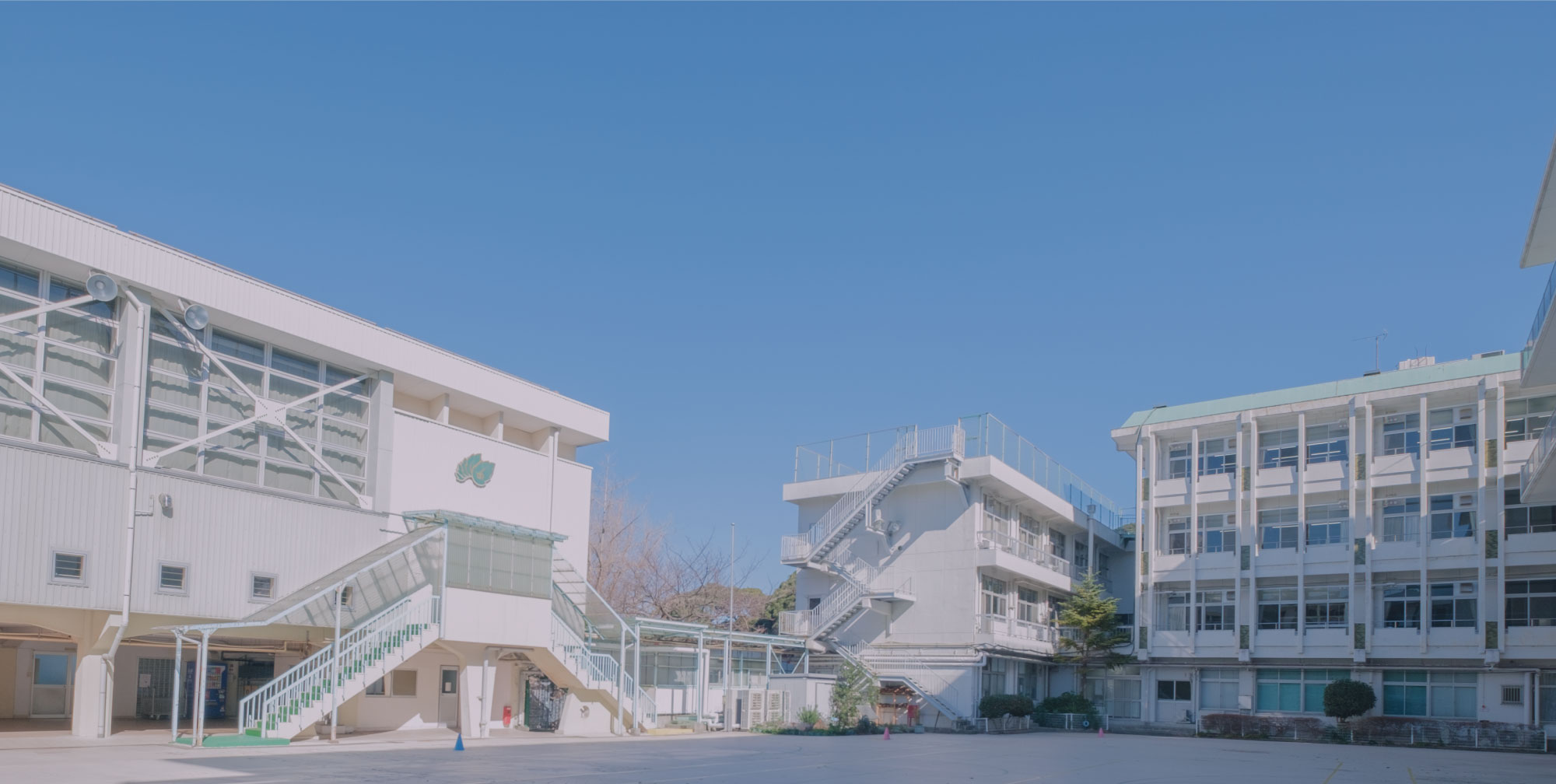 緑友会